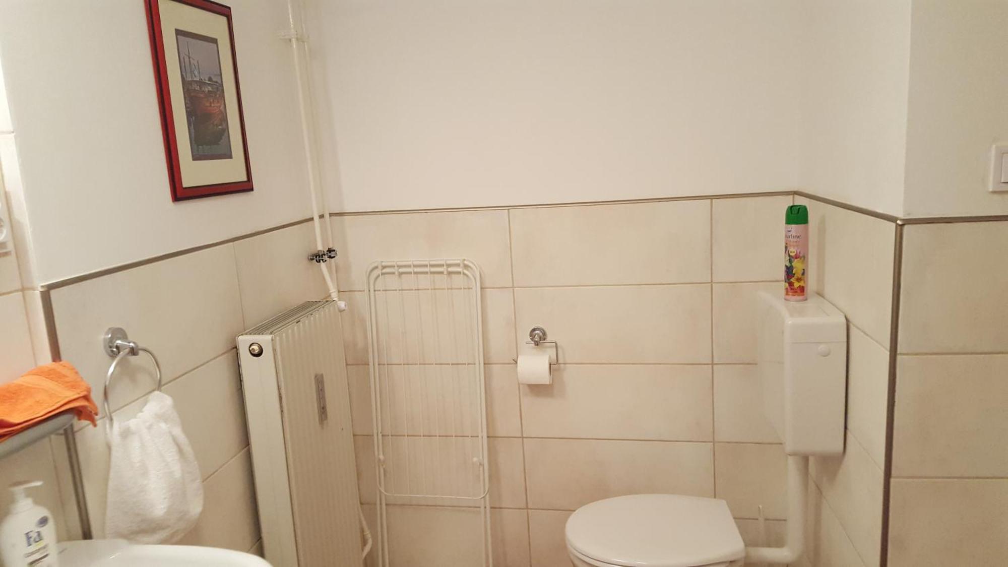 Hangulat Vendeghaz Apartmanok オロシュハーザ 部屋 写真